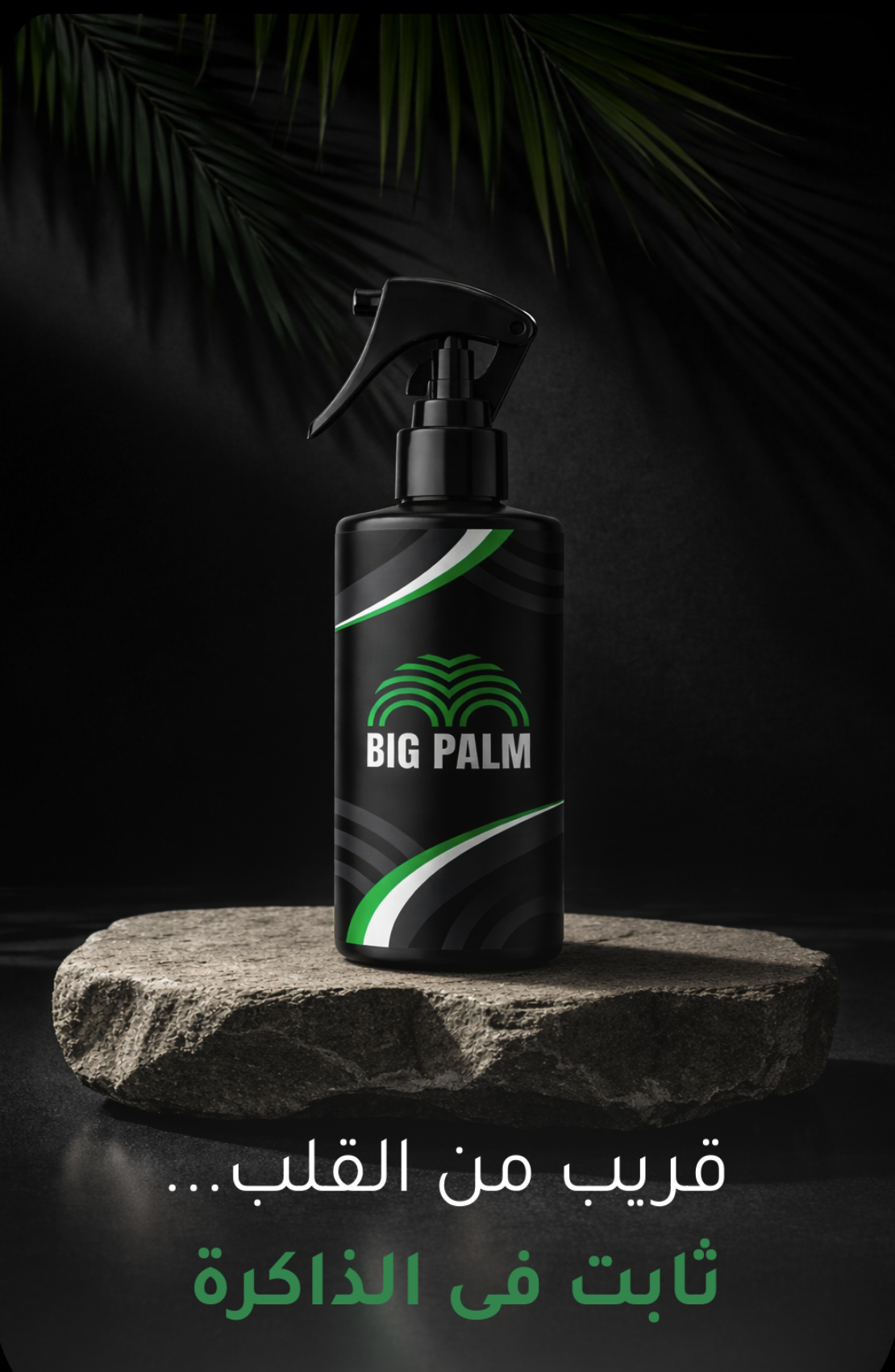 Big Palm Products